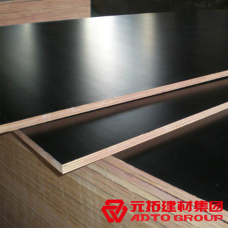 河北建筑木模板多少錢一張？河北木模板價格表？